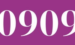0909 Betekenis: Boodschap en Liefde