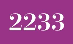 Numerologie 2233